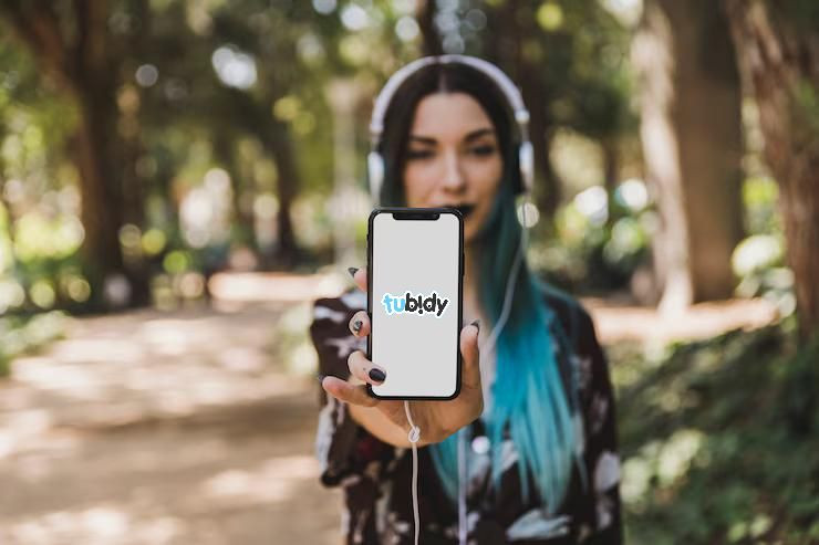 Jangan Salah Pilih Link! Ini URL Tubidy yang Asli